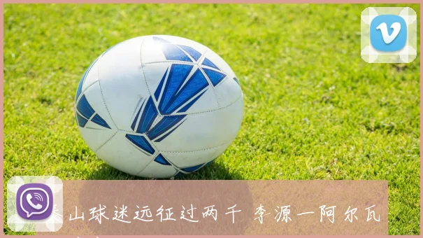 泰山球迷远征过两千 李源一阿尔瓦罗停赛
