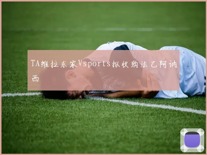 TA维拉东家Vsports拟收购法乙阿讷西